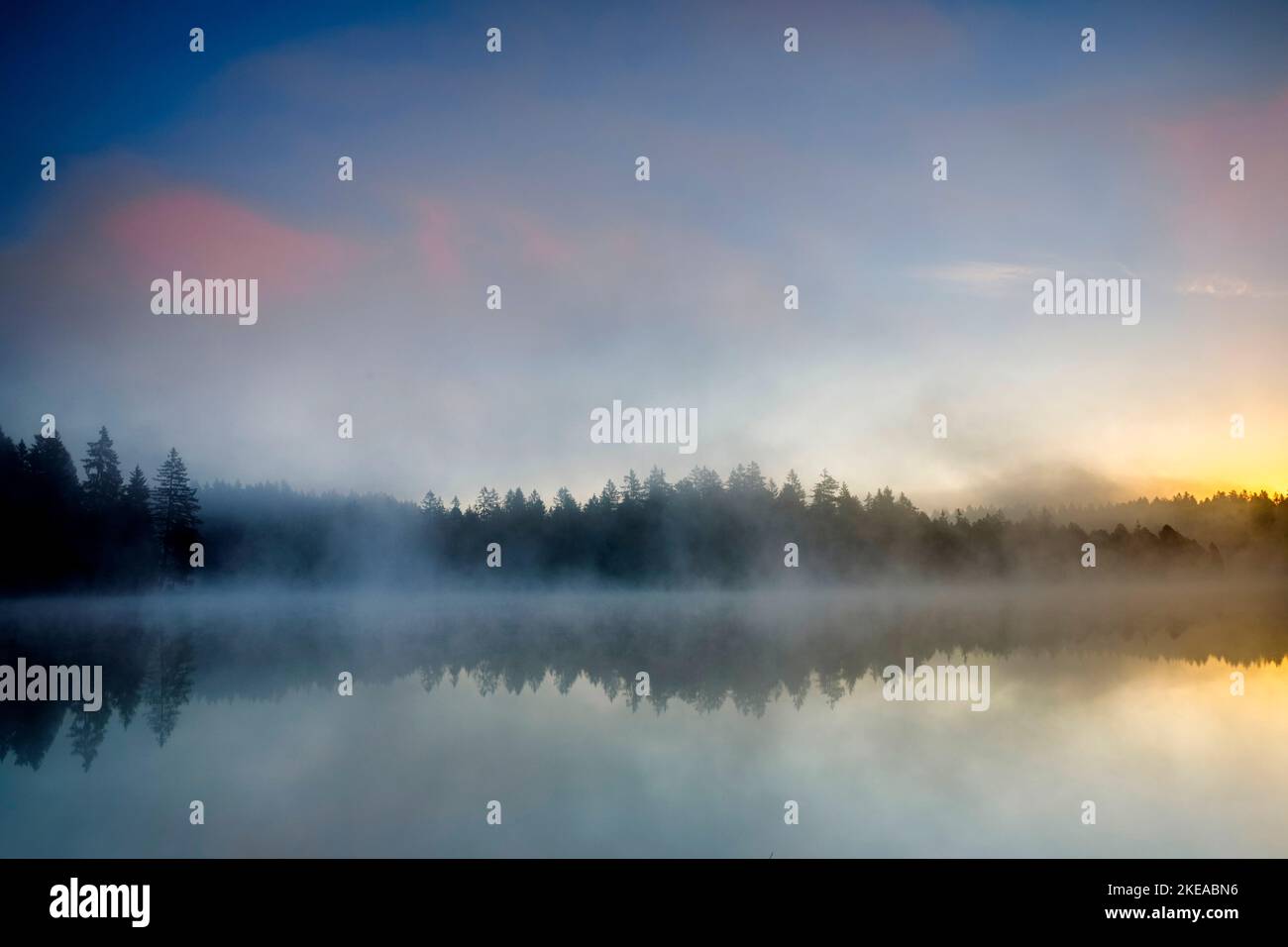 Stimmungsvolle Morgendämmerung mit Nebelschwaden über dem spiegelglatten Moorsee Étang de la Gruère im Kanton Jura, Schweiz Stock Photo