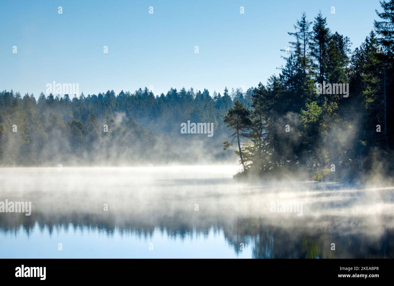 Kiefern und Fichten säumen das Ufers des spiegelglatten und mit Nebelschwaden überzogenen Moorsees Étang de la Gruère im Kanton Jura, Schweiz Stock Photo