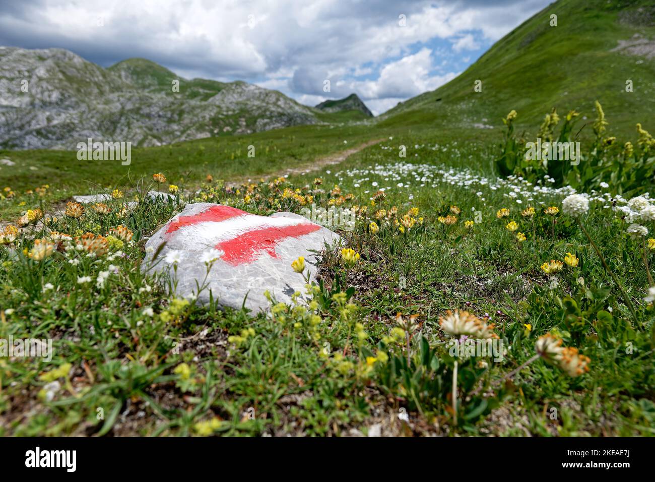 Hiking trail mark in the mountains. Red and white mark to follow the