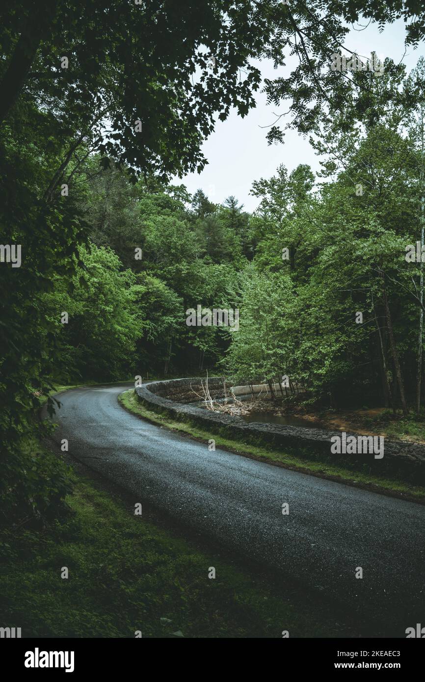 A vertical shot of the country road surrounded by green vegetation ...