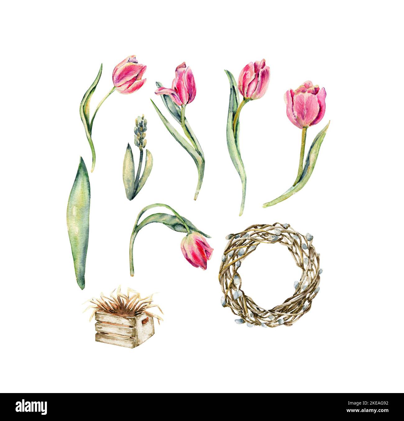 Hand drawn watercolor pink flowers tulips set and empty wreath made of ...