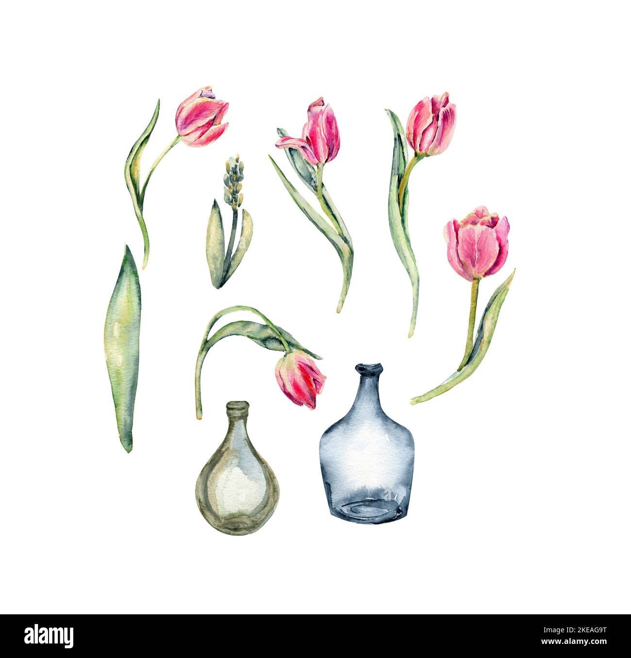 Hand drawn watercolor pink flowers tulips set and empty glass bottles ...