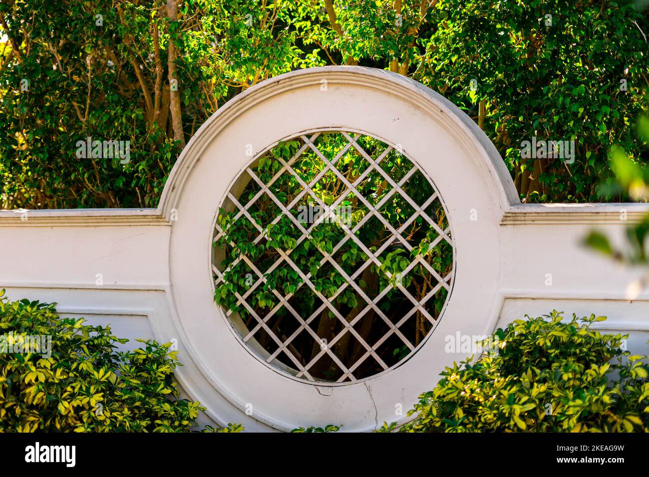 Round wall decoration with wire mesh in the middle surrounded by bush