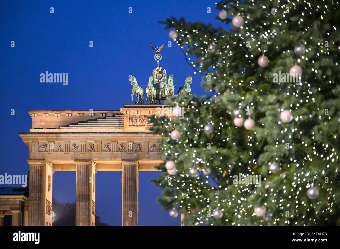 Weihnachtsbaum auf dem Pariser Platz in Berlin vor dem Brandenburger