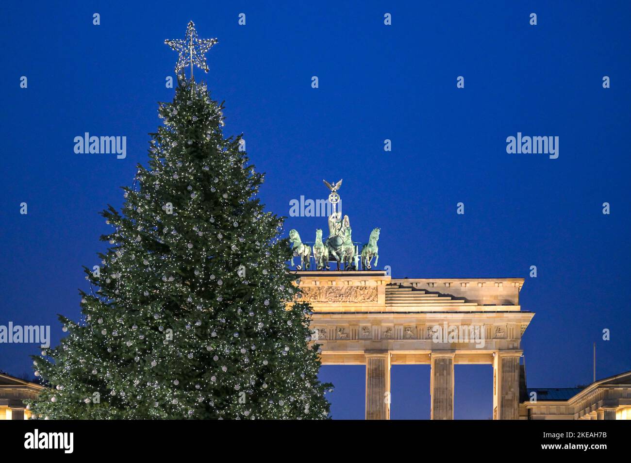 Weihnachtsbaum auf dem Pariser Platz in Berlin vor dem Brandenburger
