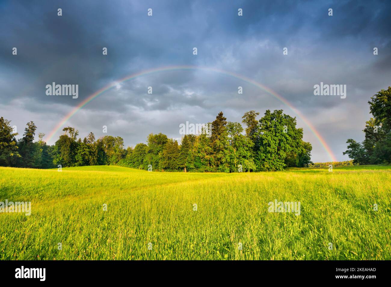 Evening thundery atmosphere with double rainbow over green mixed forest, Switzerland, Zuercher Oberland Stock Photo
