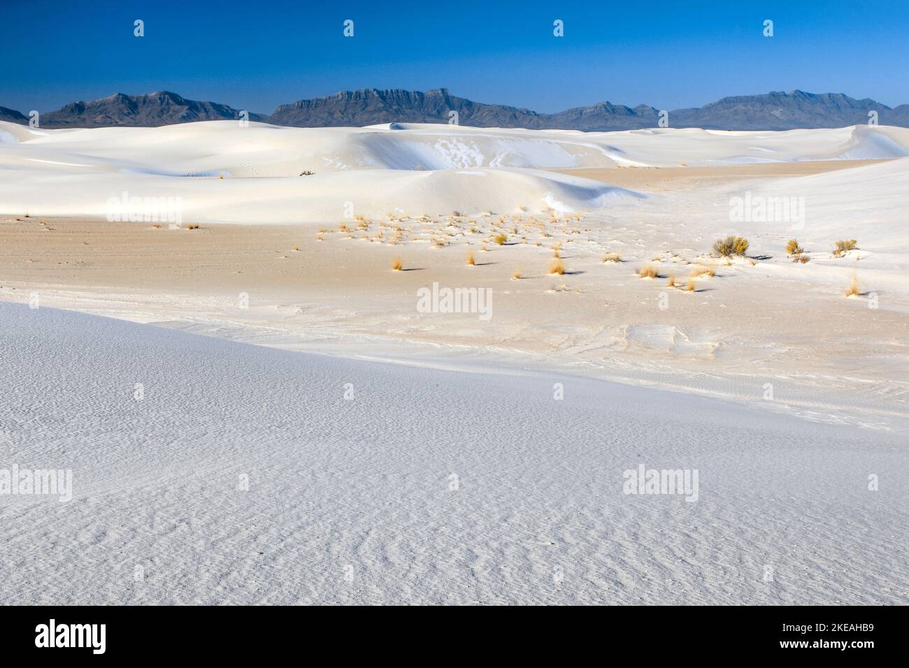 Gypsum dunes, USA, New Mexico, White Sands National Monument Stock Photo