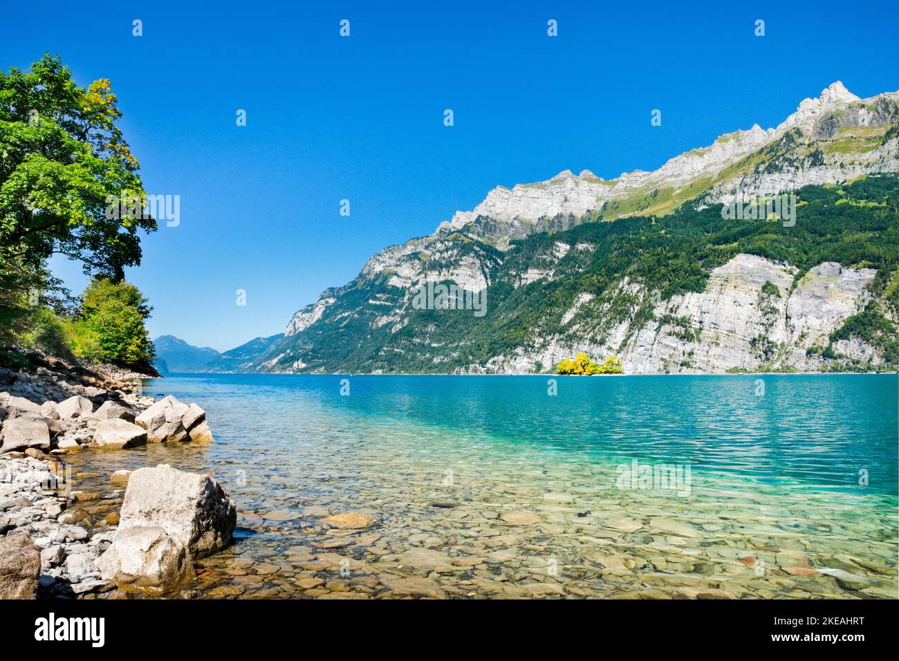 Lake Walen with small island at the foot of the Churfirsten and massifs Schaeren and Leistchamm in the background, Switzerland, St. Gallen Stock Photo