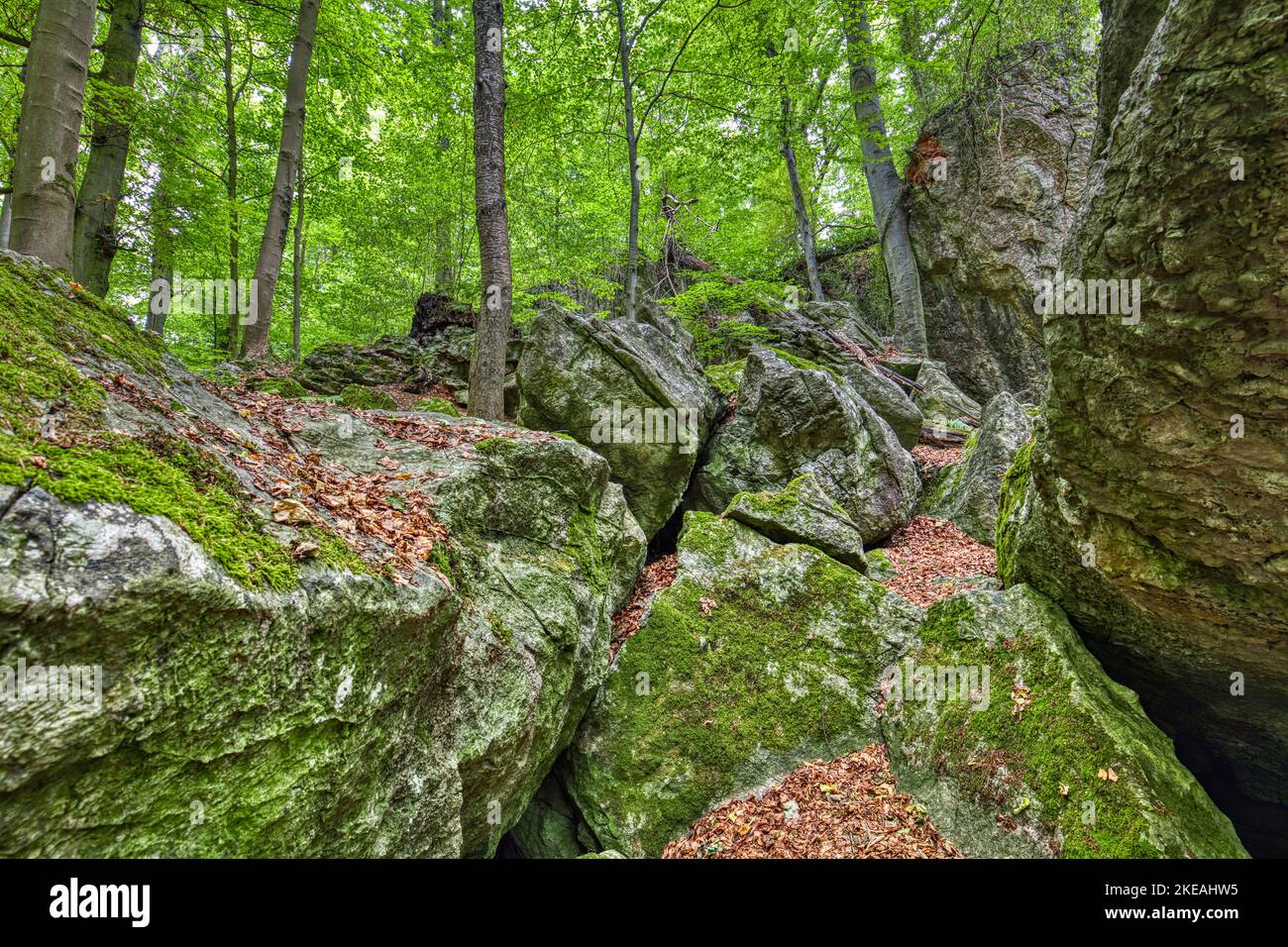 sea of rocks, Felsenmeer Hemer, Germany, North Rhine-Westphalia, Sauerland, Hemer Stock Photo