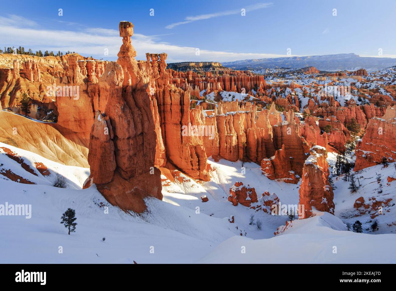 Bryce Canyon in winter, view from Sunset Point, hoodoos from limestone, USA, Utah, Bryce Canyon National Park Stock Photo