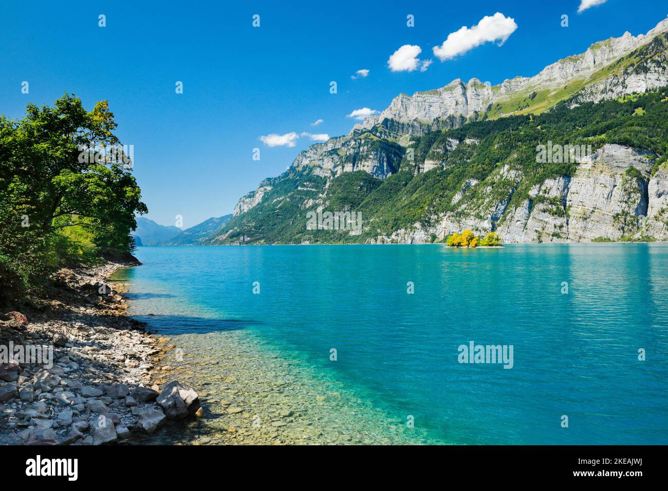 Lake Walen with small island at the foot of the Churfirsten and massifs Schaeren and Leistchamm in the background, Switzerland, St. Gallen Stock Photo