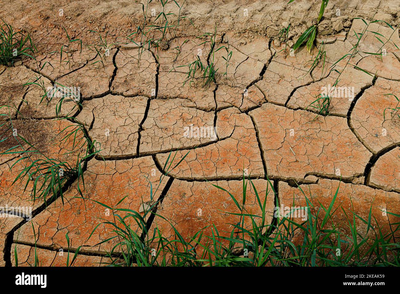 arable land with dry cracks, Germany, Bavaria, Isental Stock Photo