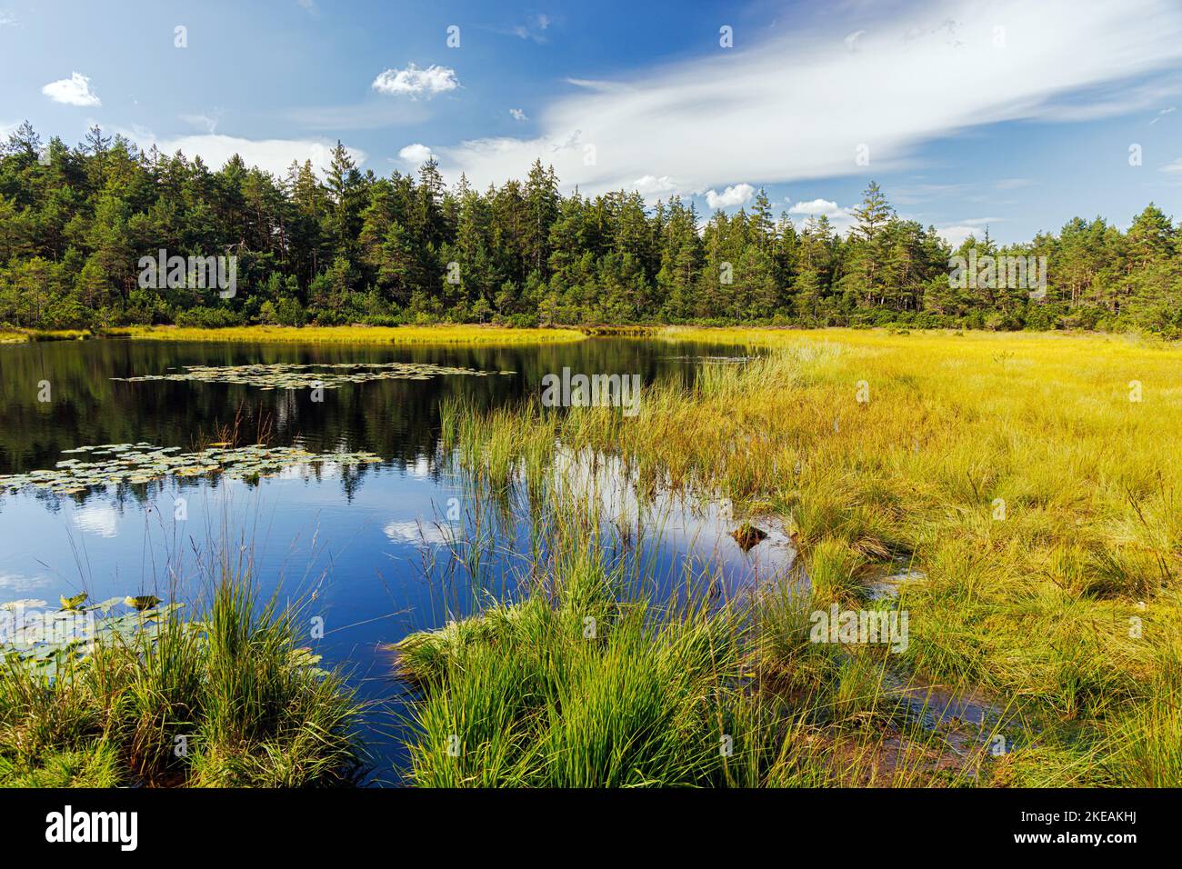 Grundloser See, small moor pond at a high moor, kettle hole with quaking bog, Germany, Bavaria, Chiemgau Stock Photo