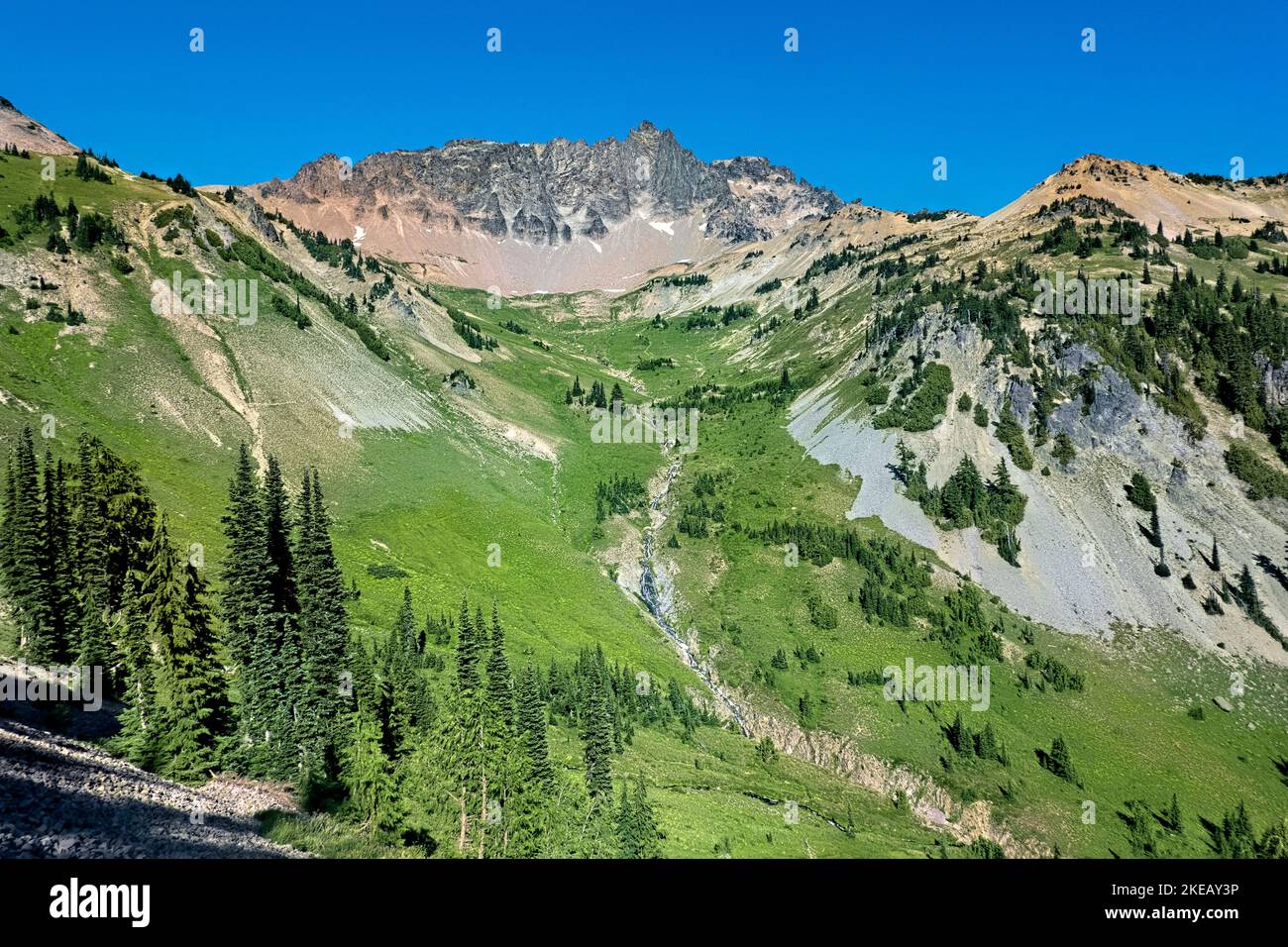 Mountain goat north cascades hi-res stock photography and images - Alamy