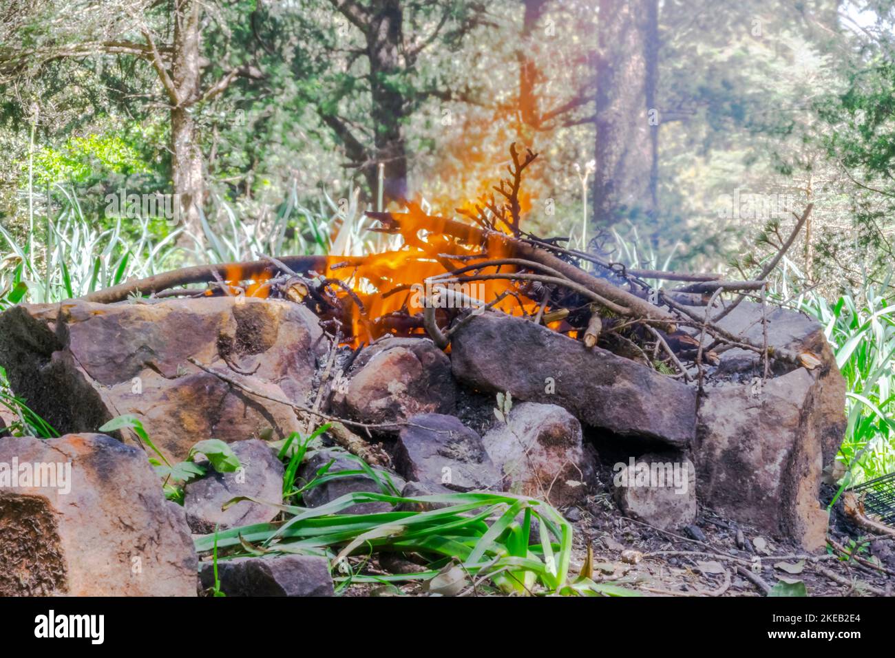 Natural barbecue with stones and branches fire.Selective focus on foreground with green grass and blurred background forest trees daylight. Stock Photo