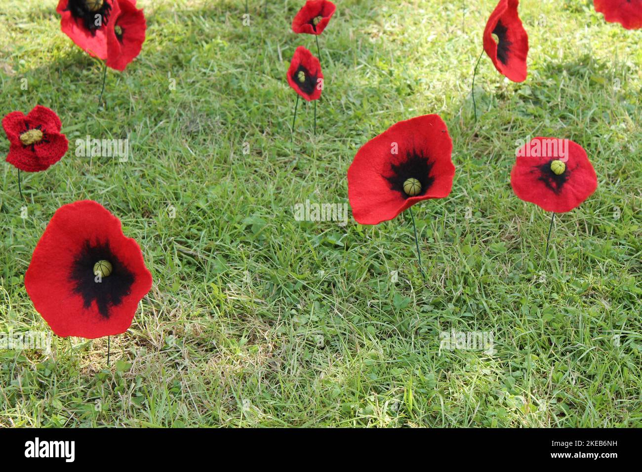 Artificial Poppy Flowers Displayed on a Grass Meadow. Stock Photo