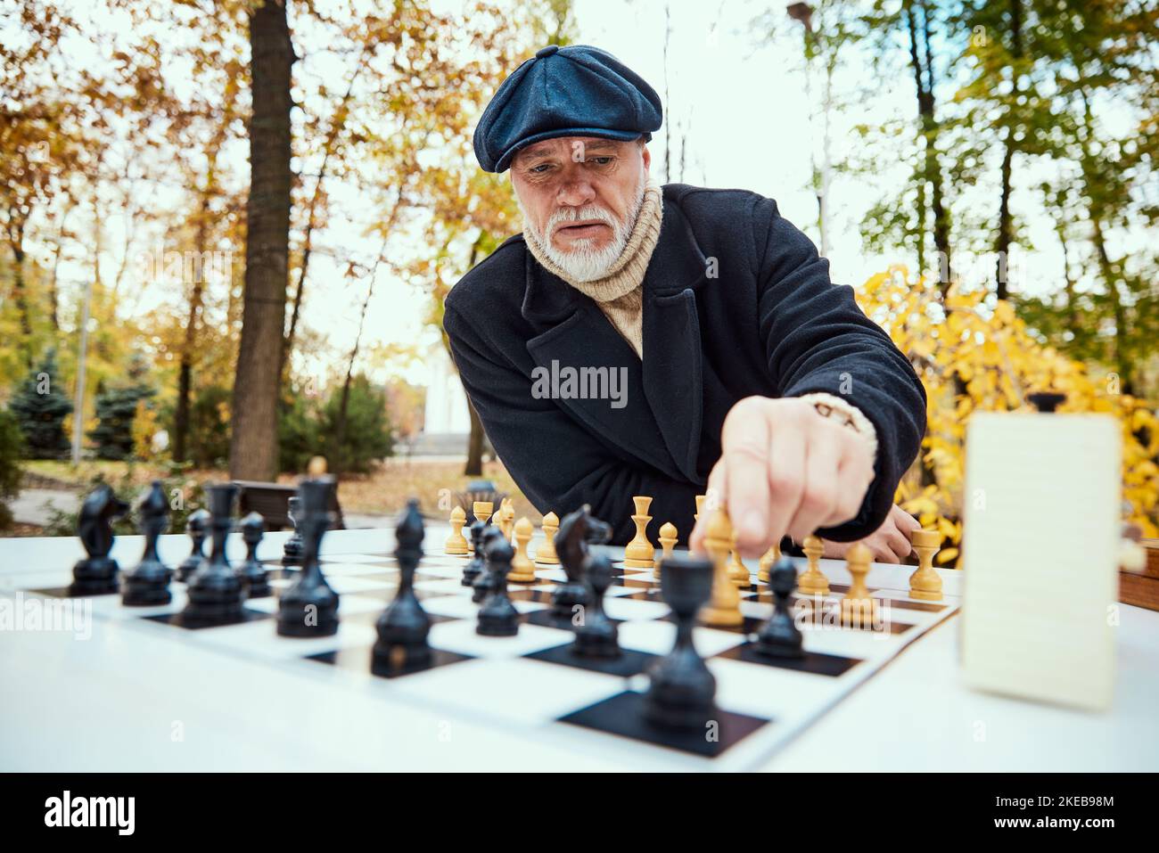 People playing chess park hi-res stock photography and images - Page 3 -  Alamy