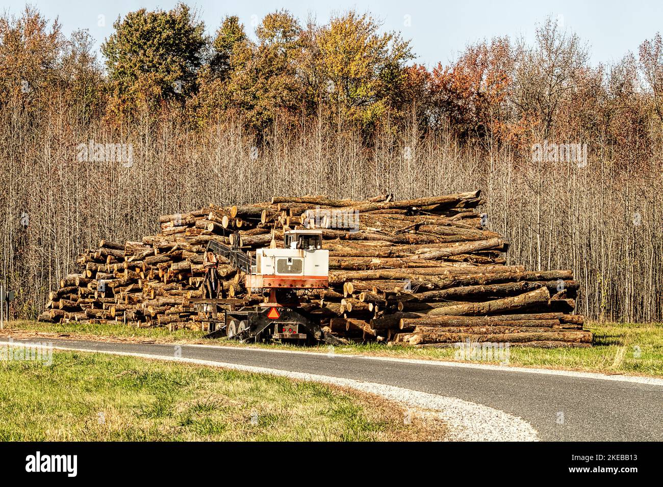 Closeup of logs stacked high in countryside. Stock Photo