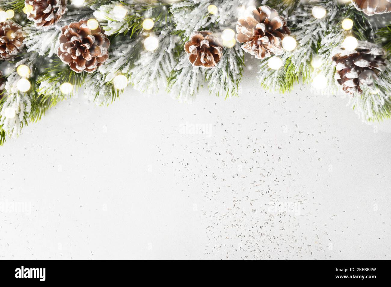Christmas snowy fir tree branches, pine cone and bokeh garland on white ...