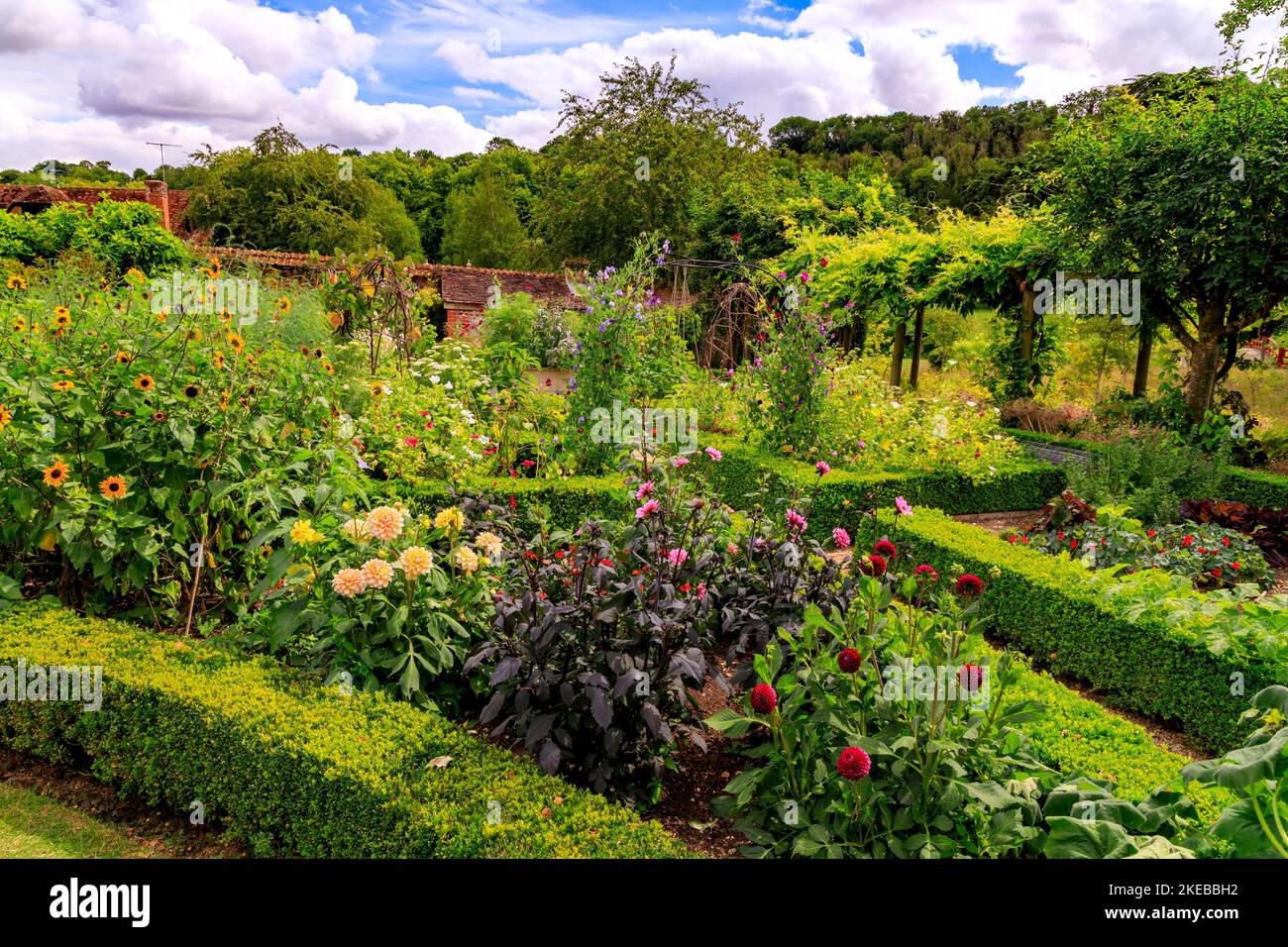 Colourful planting and crops in the walled garden at Heale House a