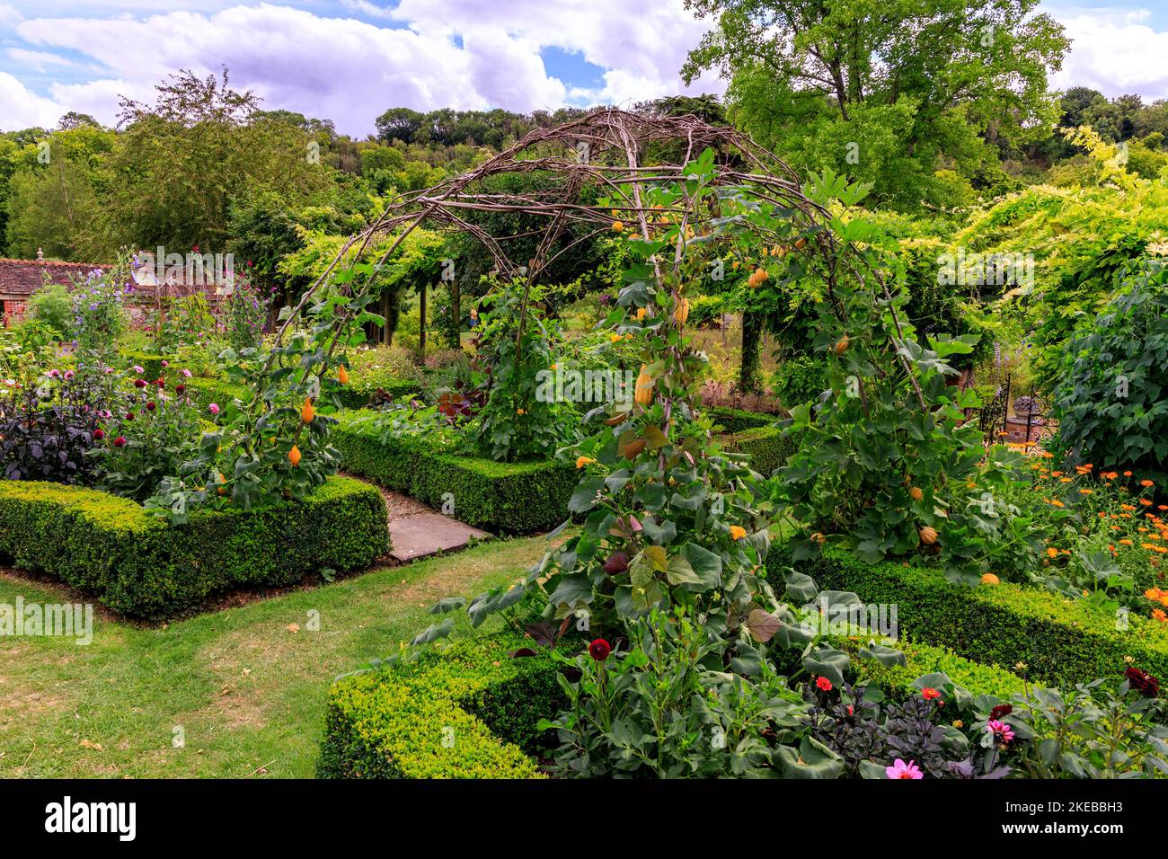 Colourful planting and crops in the walled garden at Heale House a