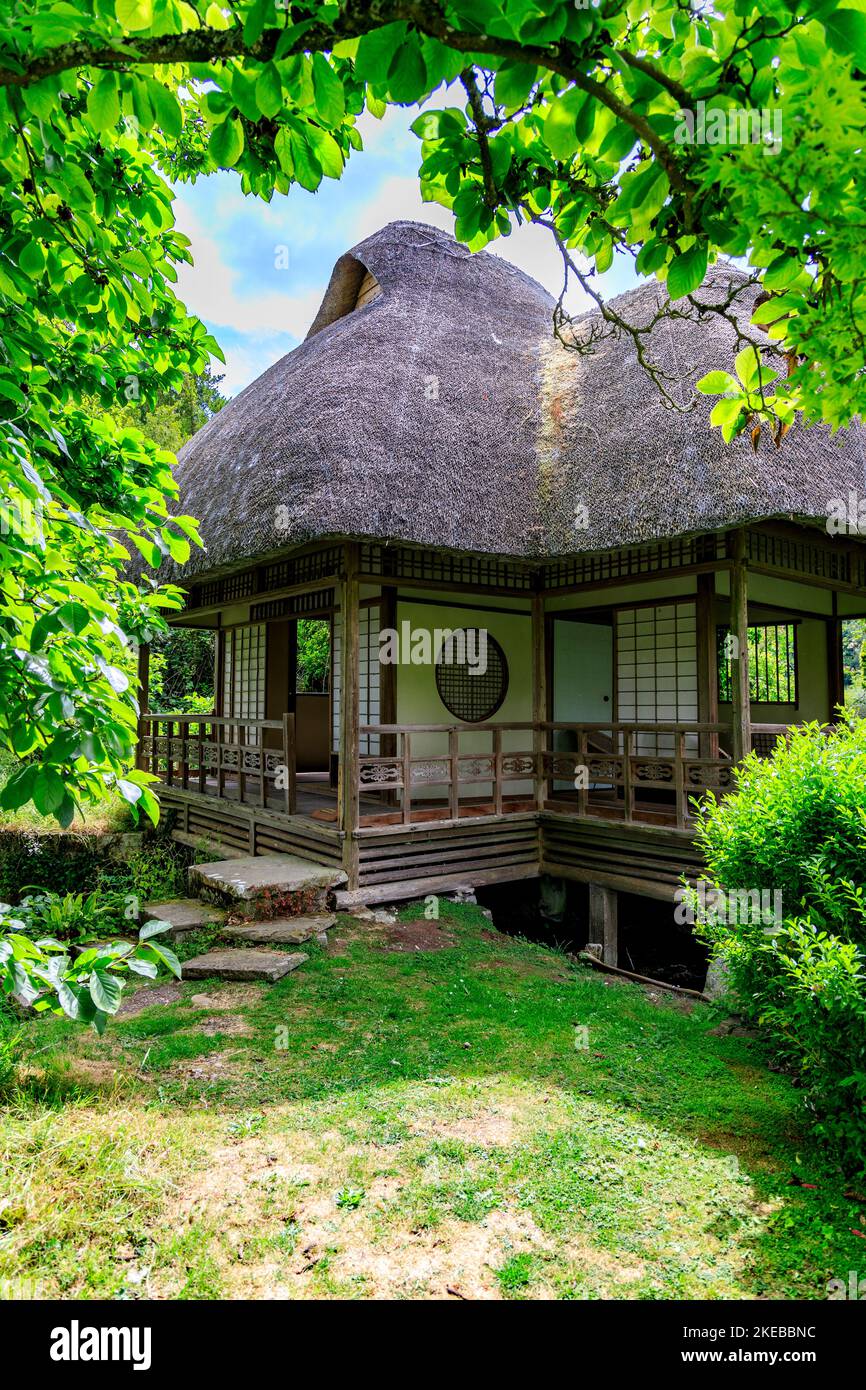 The thatched Japanese tea house in the garden at Heale House a 17th