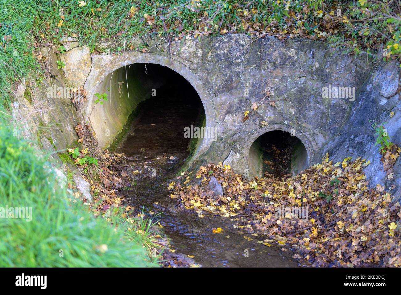 View of sewerage drain pipes in nature Stock Photo