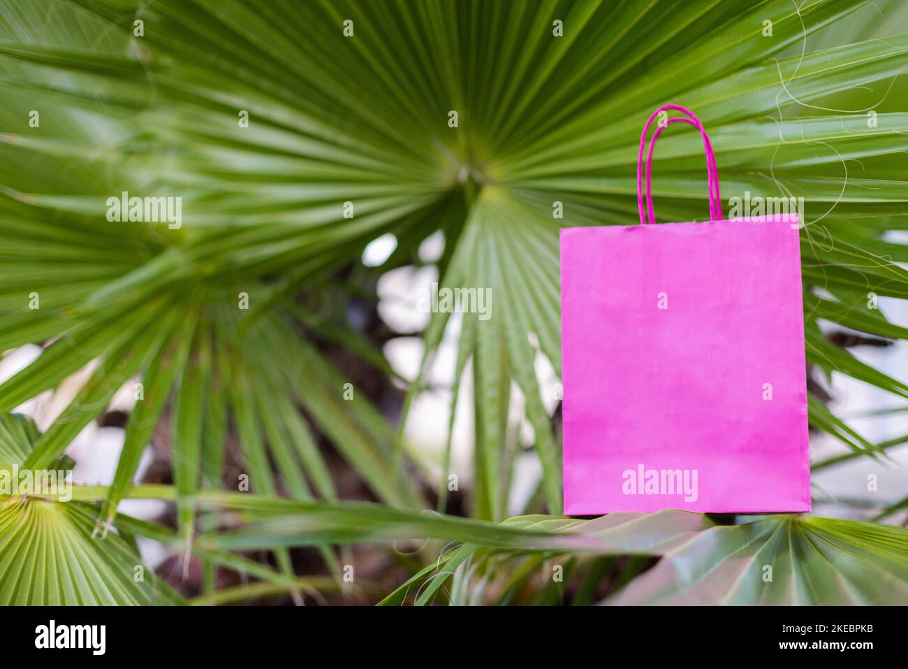 Pink paper bag on a palm leave. Mockup Stock Photo Alamy