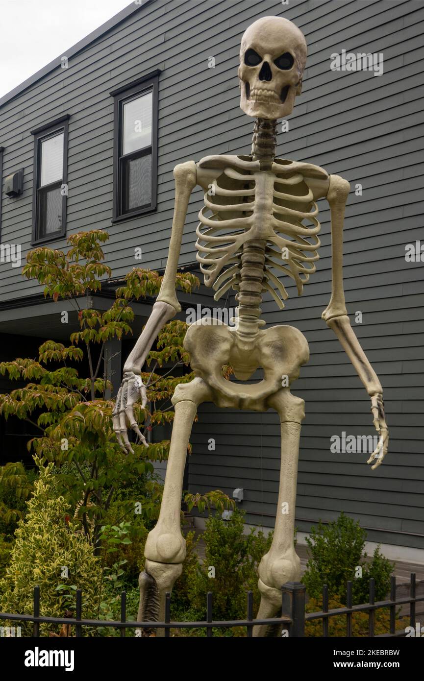 Halloween decorations in Windsor Terrace Brooklyn NYC Stock Photo Alamy