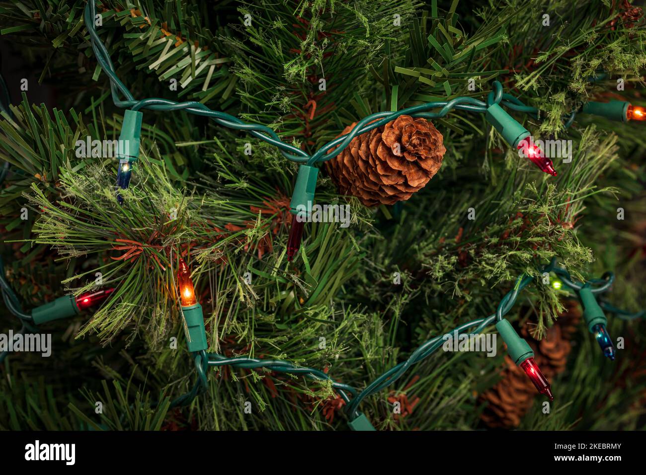 Christmas string lights with bad bulb on Xmas tree. Holiday lighting repair, safety and decoration concept. Stock Photo