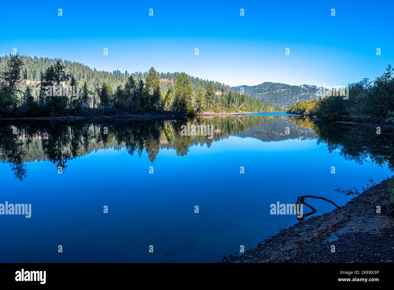 Springston hi-res stock photography and images - Alamy