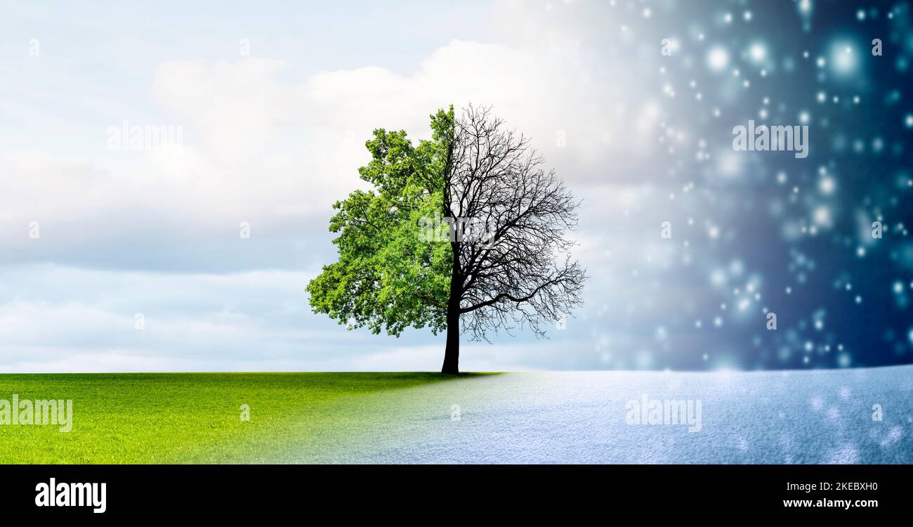 Season change from winter to spring with tree in focus Stock Photo Alamy