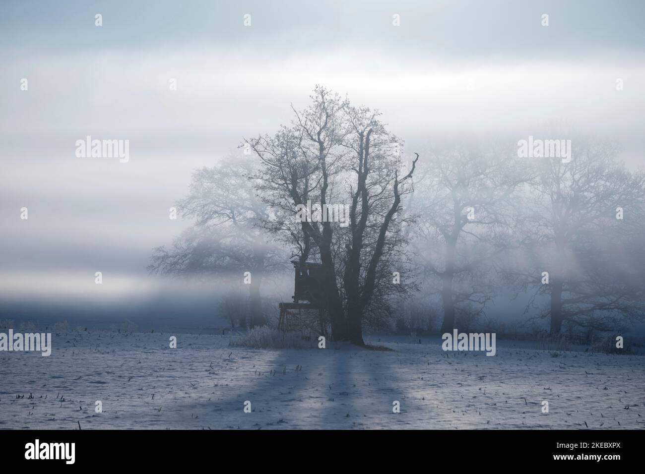 Chasing fog hi-res stock photography and images - Alamy