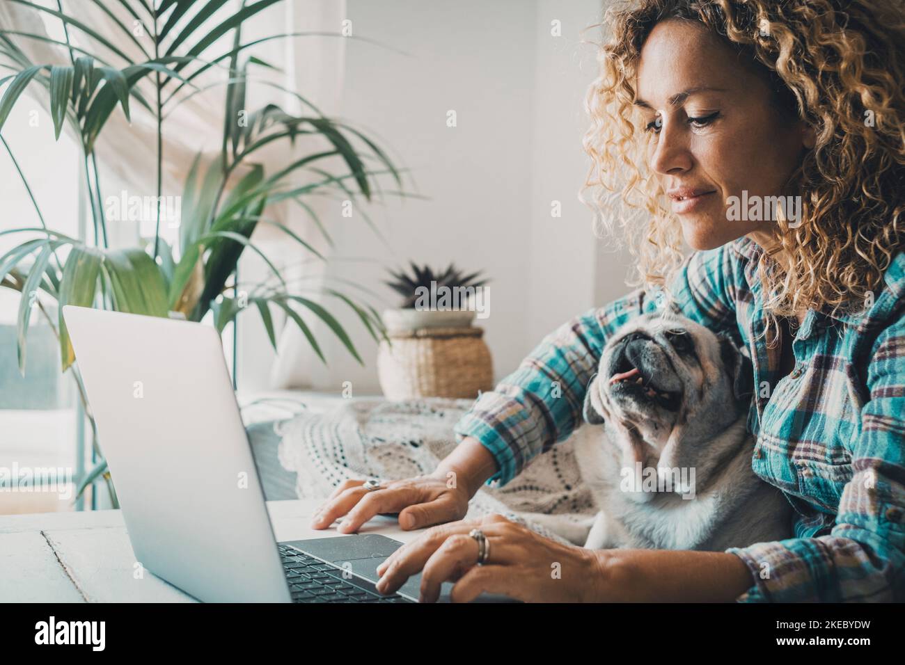 Smart working at home with female and her puppy working on computer together in friendship and love. Cheerful happy woman write on laptop with a dog on her legs. Concept of domestic animals lifestyle Stock Photo
