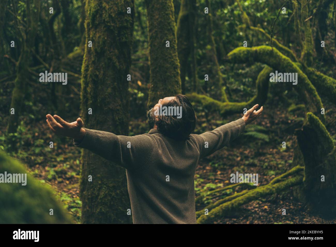 Back view of free man opening arms in the nature with green trees and forest in background. Concept of outdoors leisure activity and environment lifestyle. People enjoying woods earth planet future Stock Photo