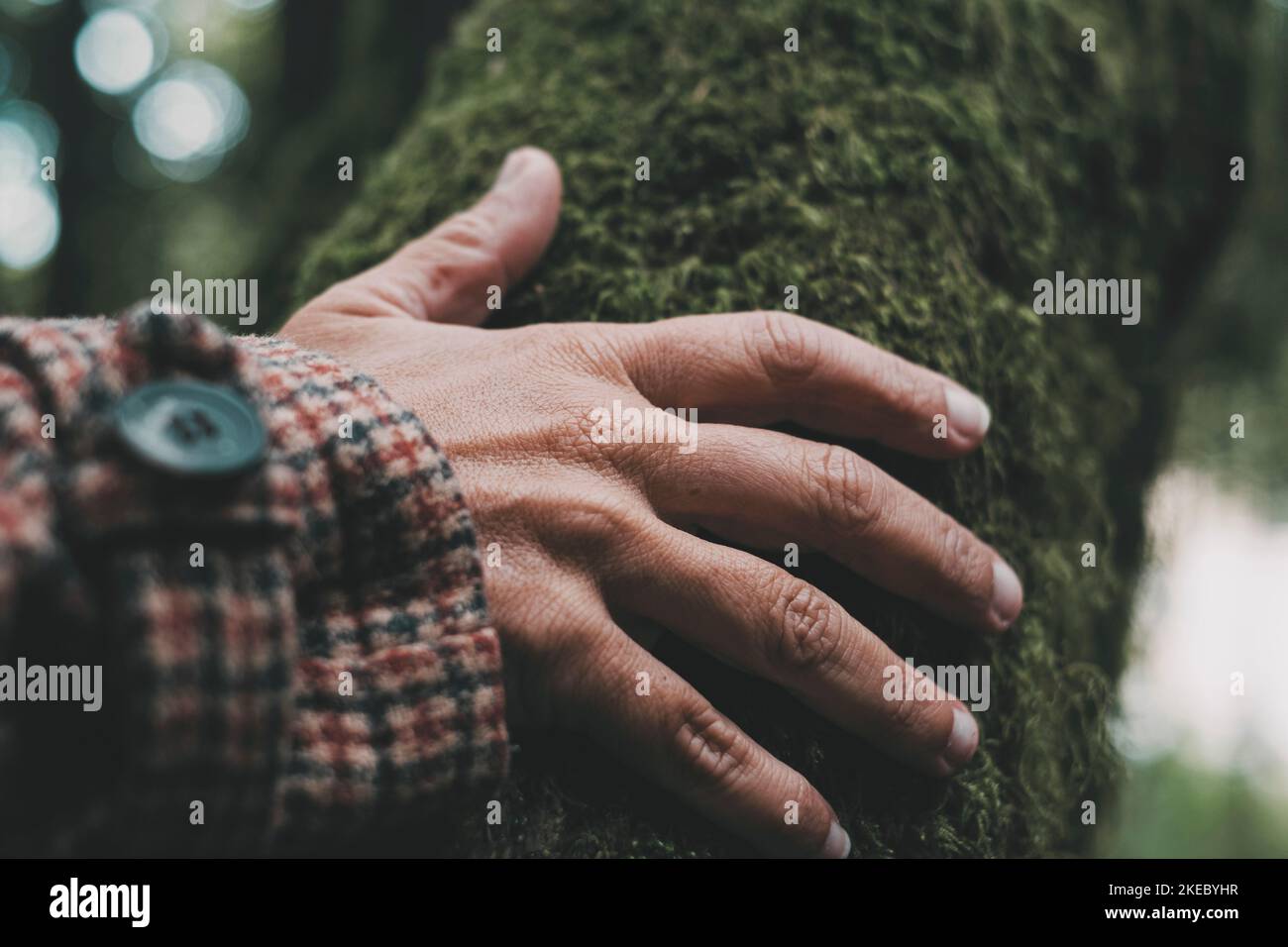 Close up of female hand touching and feeling with green nature tree with musk. Concept of environment love and protect forest and future from climate change and global warming Stock Photo