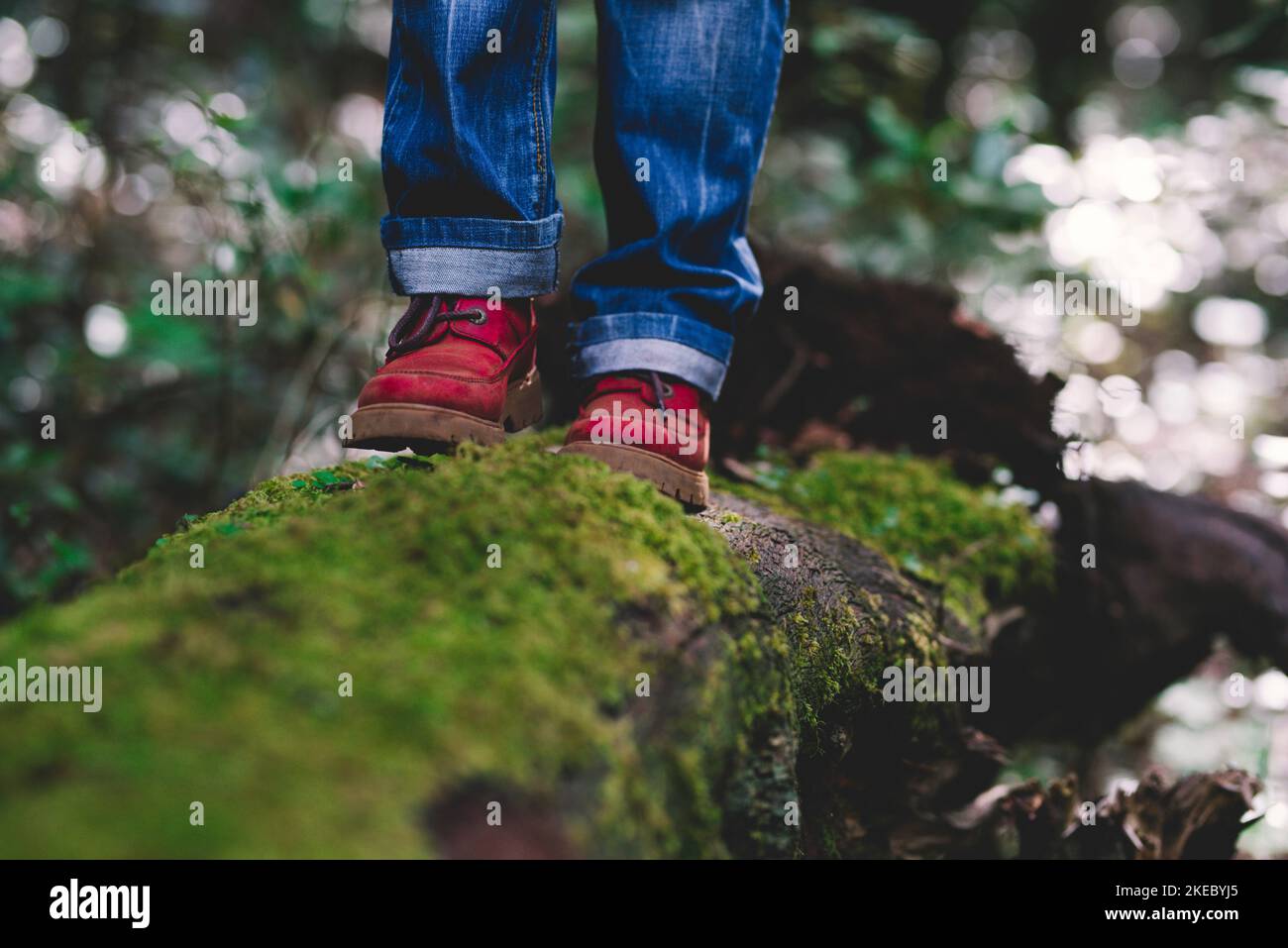 Close up of people feet with red boots walking in the nature on a green musk covered trunk. Concept of people and nature feeling. Care of environment. Tourist leisure activity concept. Trekking trip Stock Photo