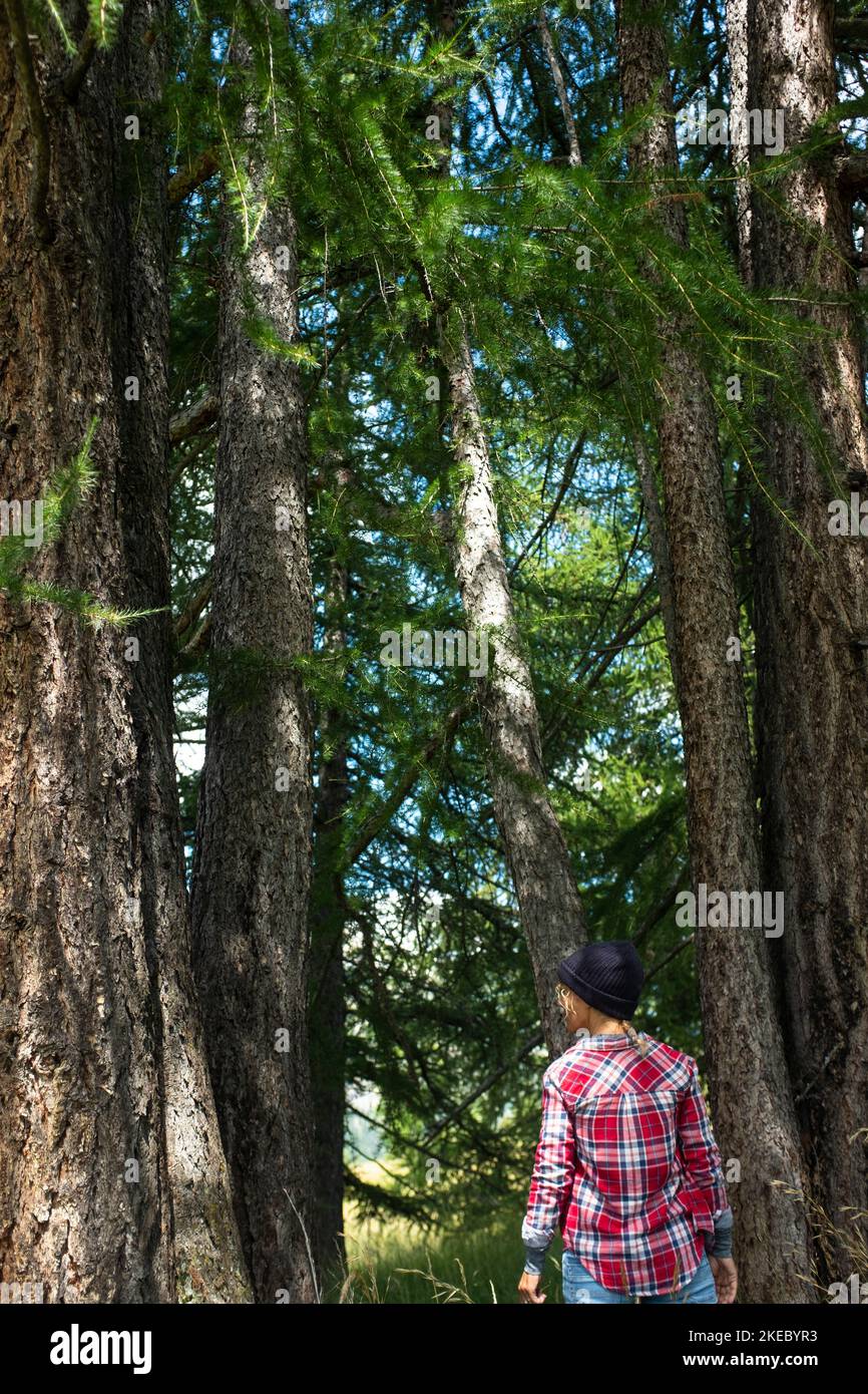 Back view of people in the nature. Concept of woman and high tress at the mountain national park. Tourism and nature lover. Forest protection. Alternative holiday vacation and leisure activity Stock Photo