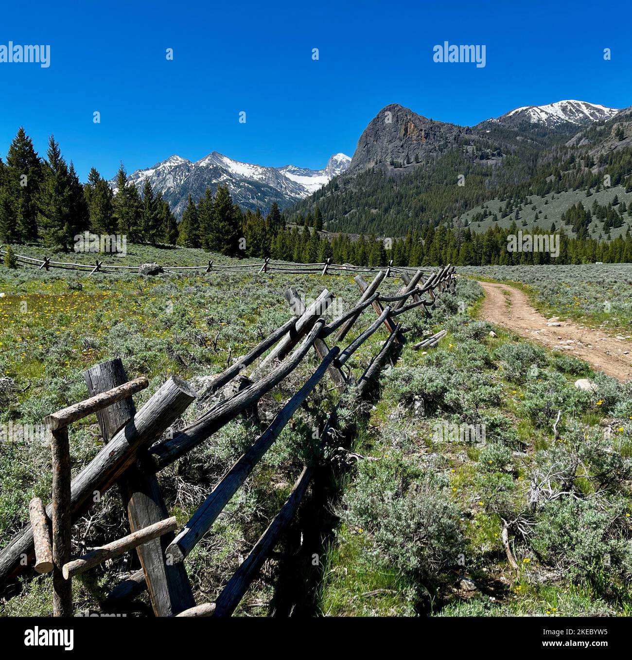 A wooden fence in the field on a sunny day Stock Photo - Alamy