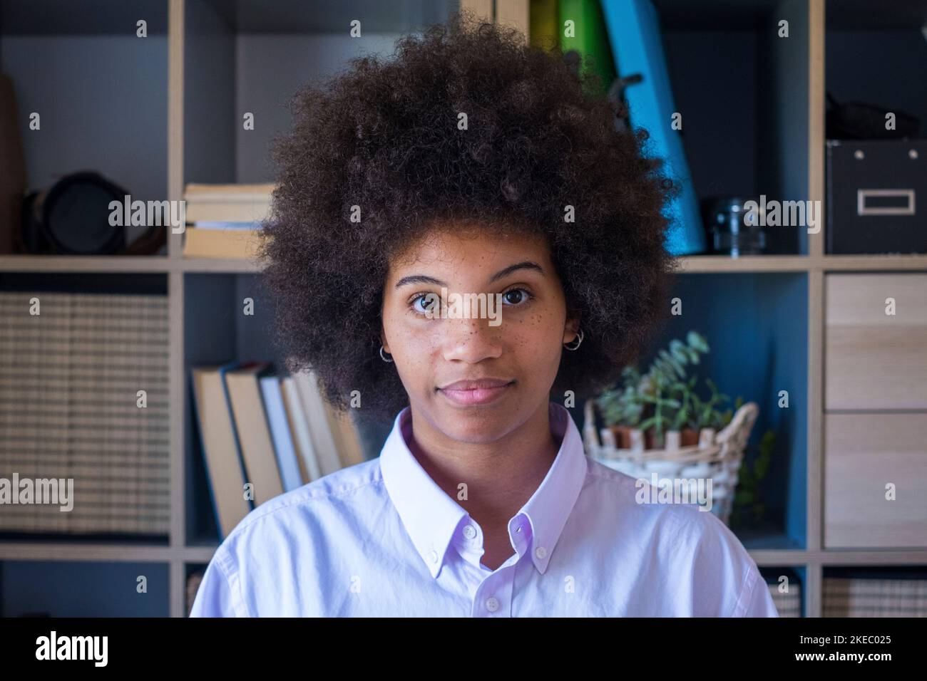 Close-up portrait of attractive dark skinned young woman with curly Afro hairstyle. African american businesswoman at office workplace. Young confident lady looking at camera Stock Photo