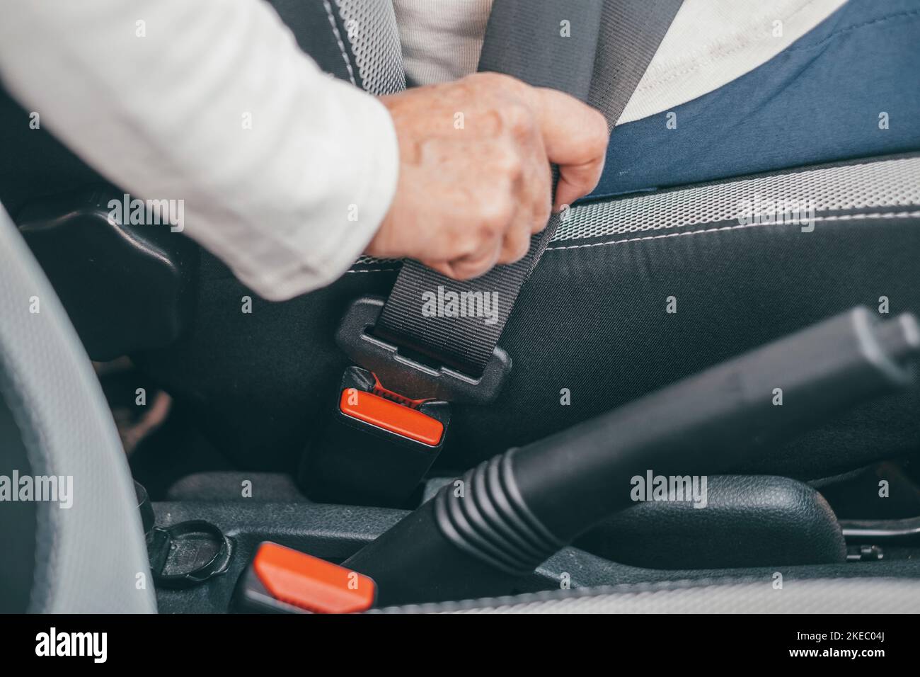 close up of one mature woman and putting on seat belt in a car to be