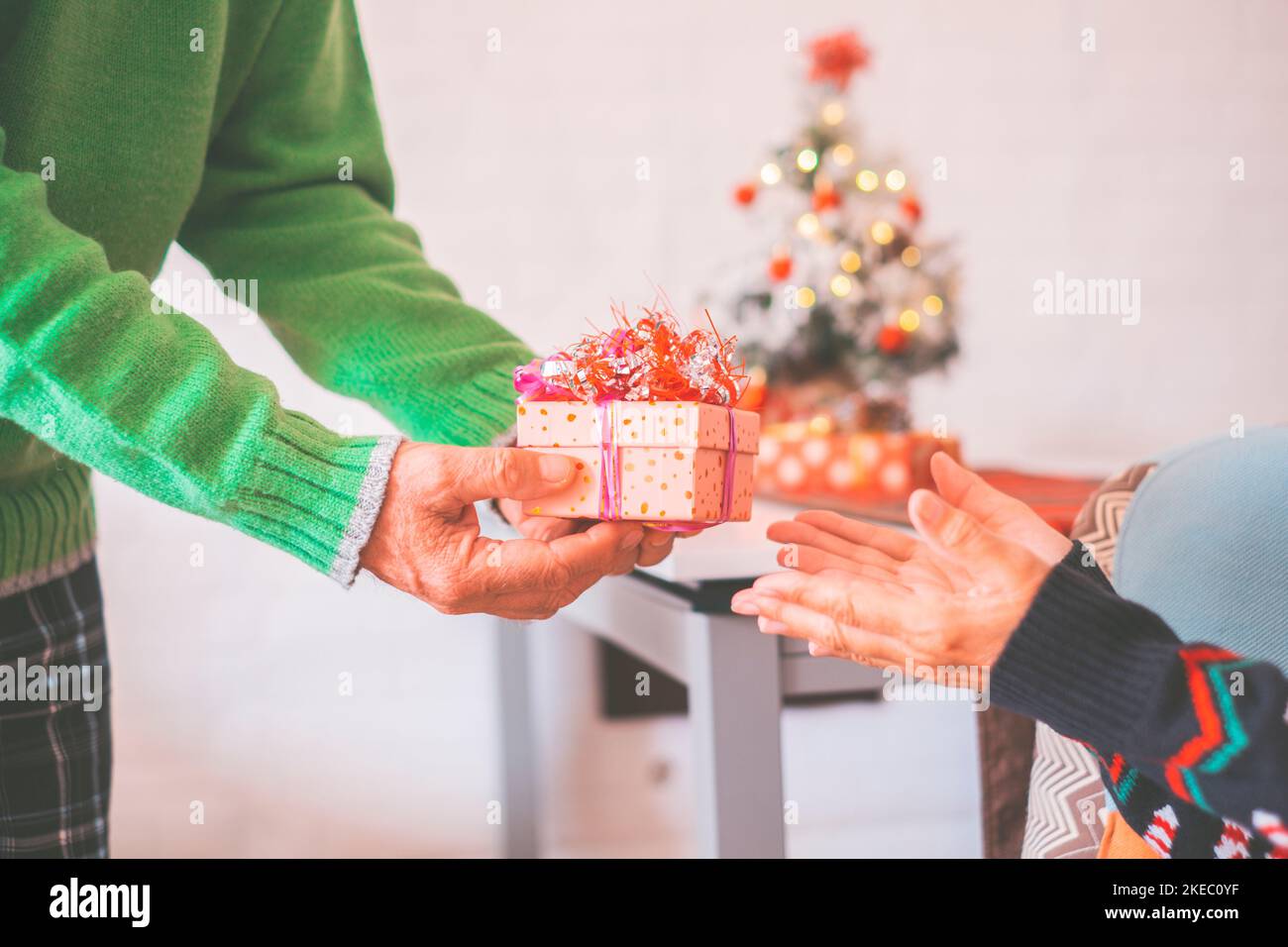 Hands of senior man giving surprise christmas gift box to his old wife. Loving old heterosexual couple celebrating christmas festival together at home. Couple exchanging gift in front of christmas tree Stock Photo