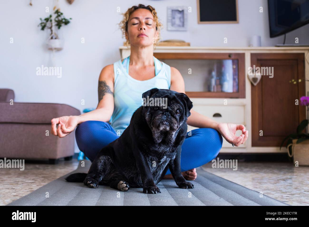 couple of woman and pug doing on the floor together - adult fermale doing exercise like yoga and the dog is looking at the camera quarantine mood bored and being healthy and fit Stock Photo