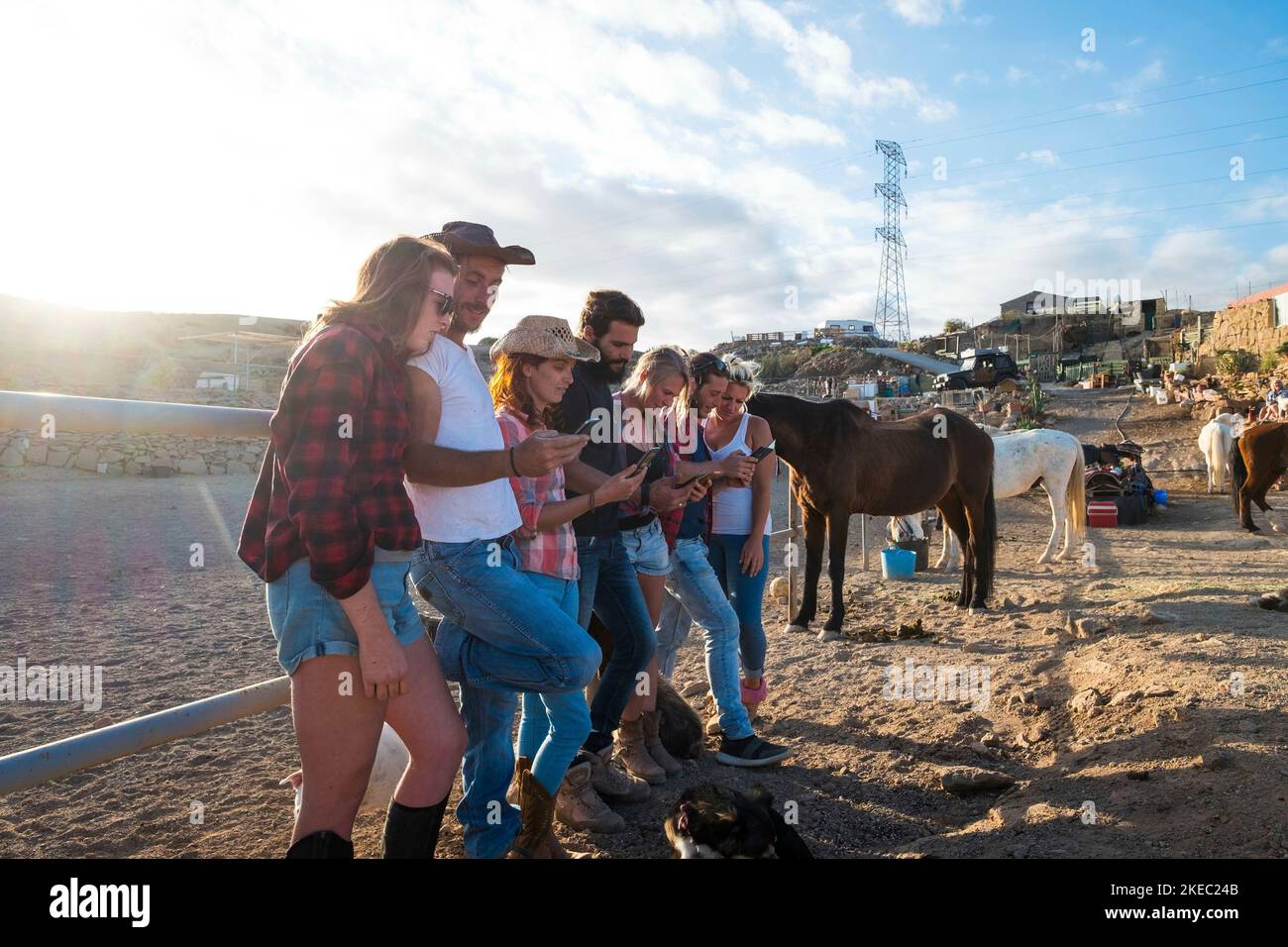 group of seven people using their phones together in a ranch with horses at the background - online people and social media or network Stock Photo