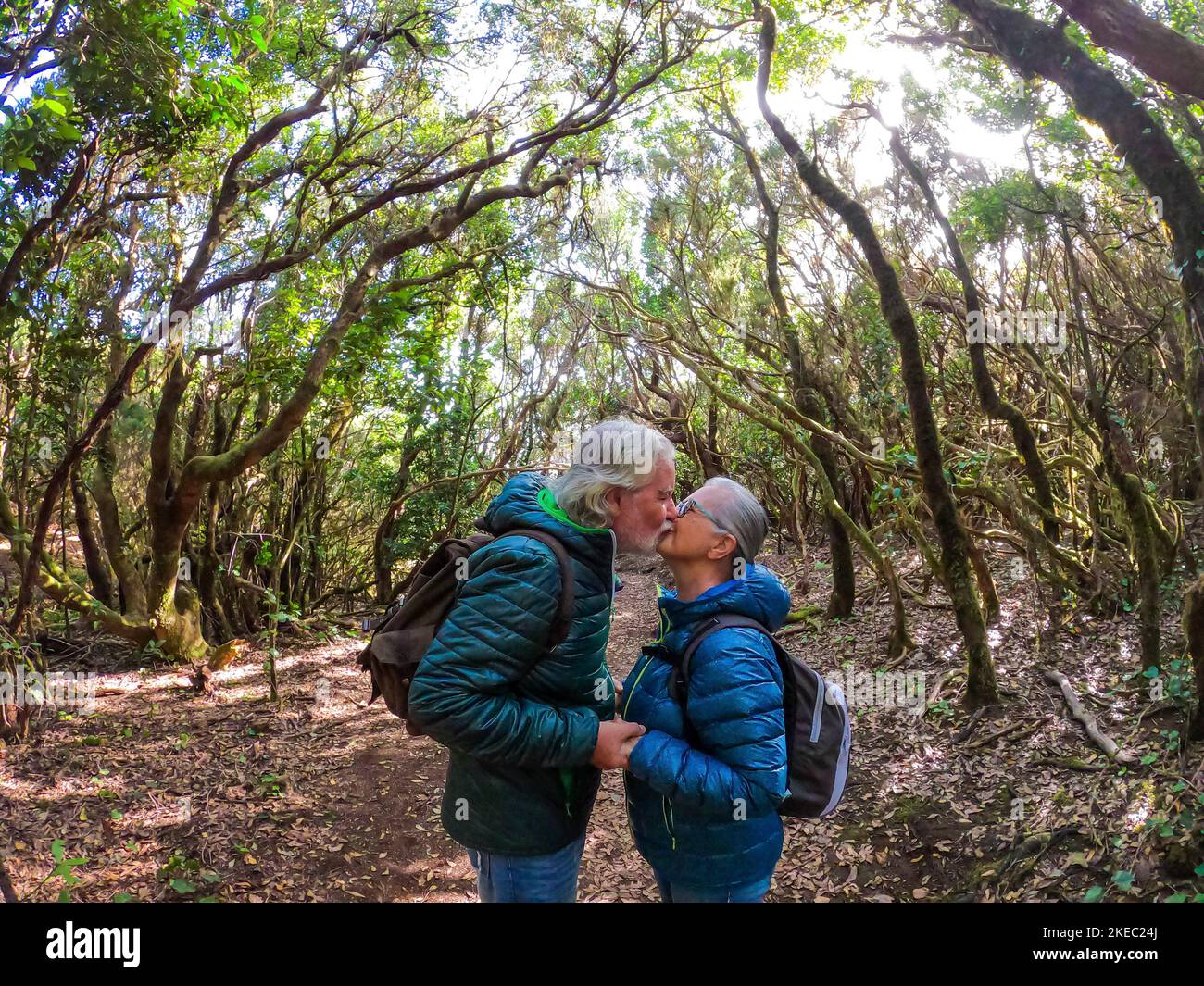 Two people walking in forest hi-res stock photography and images - Alamy