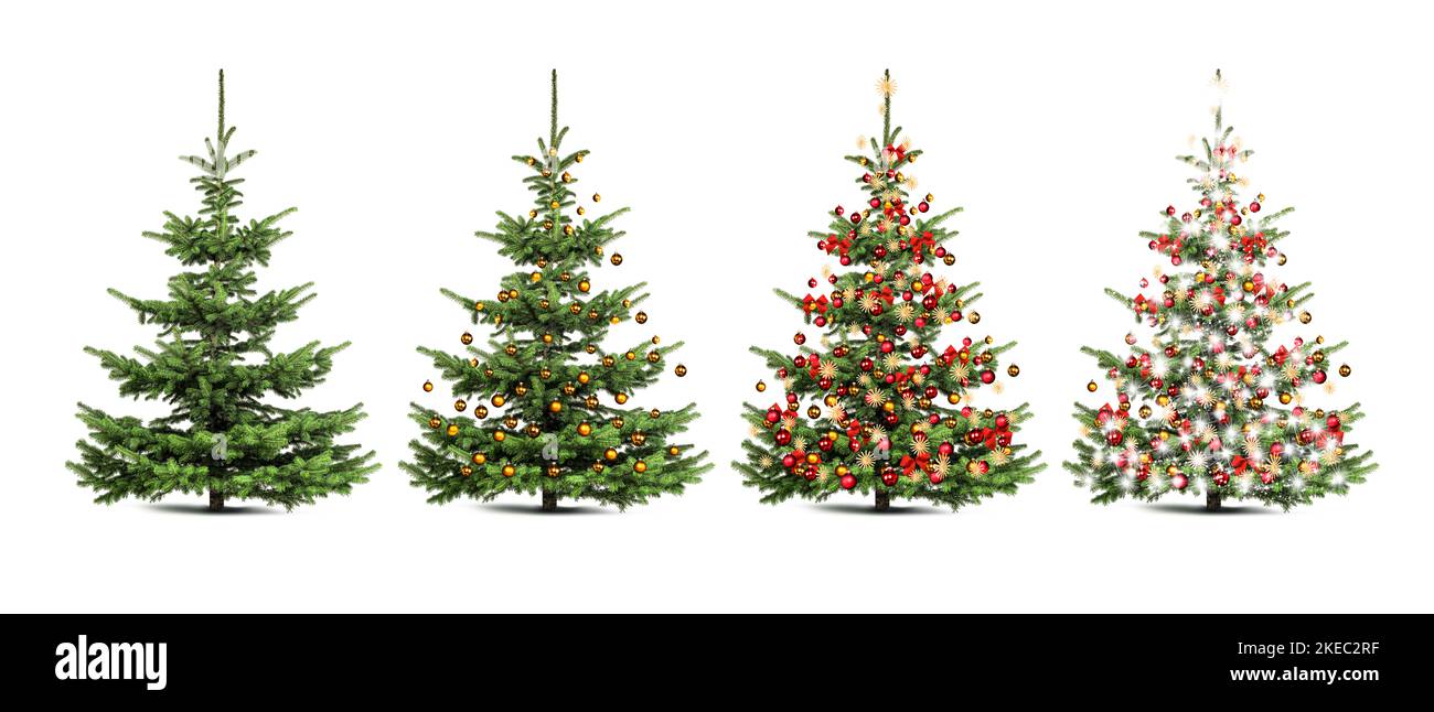 Freigestelle Christmas trees with and without Christmas decorations Stock Photo
