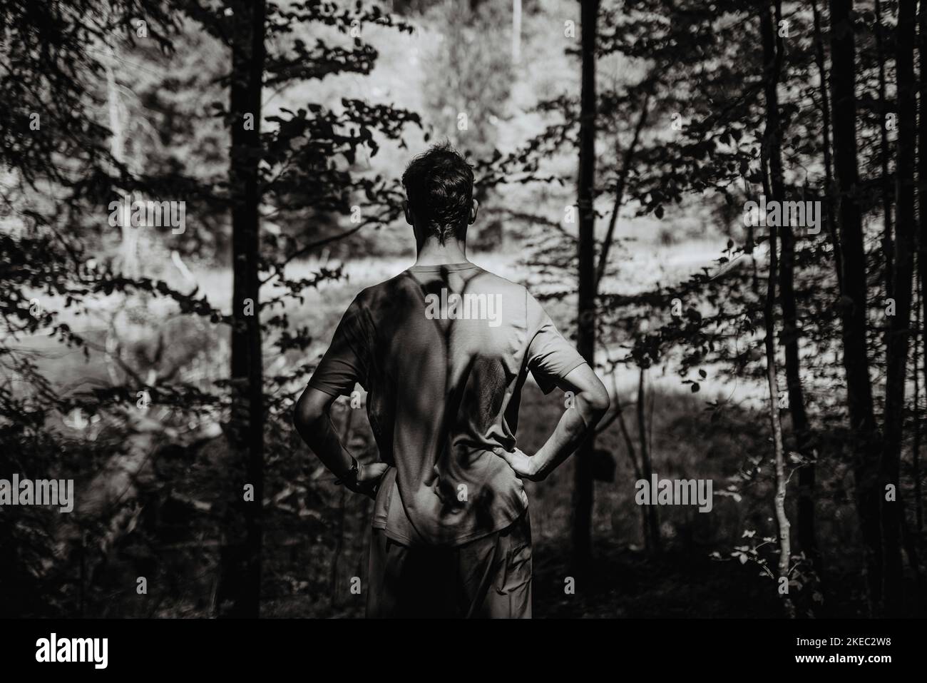 Man in forest Stock Photo