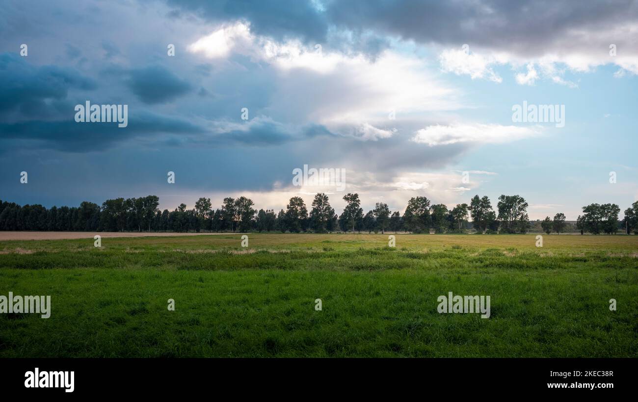 View of a meadow with uniform rows of trees and heavily clouded sky in autumn evening in Mecklenburg-Vorpommern, Germany. Stock Photo