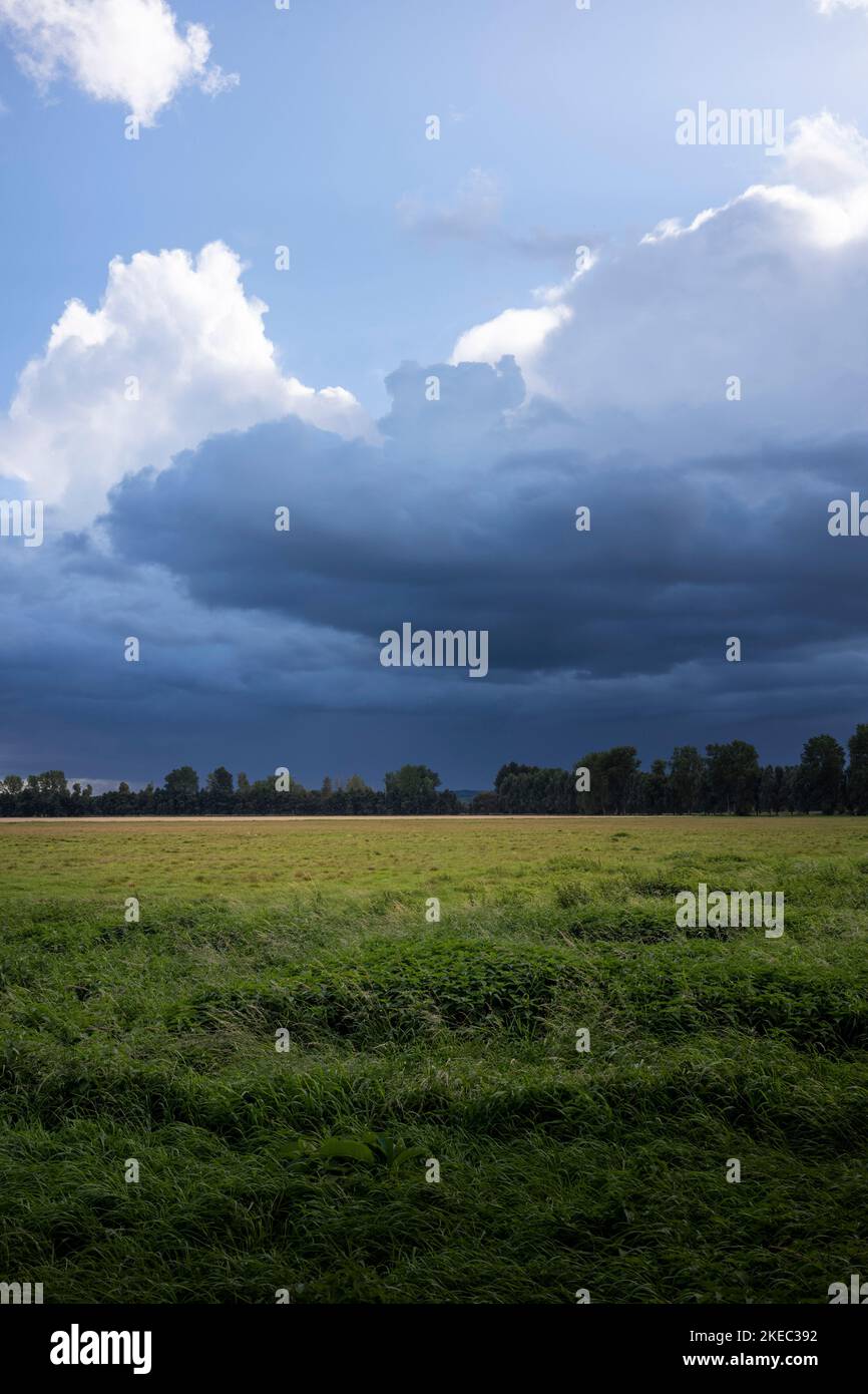 View of a meadow with uniform rows of trees and heavily clouded sky in autumn evening in Mecklenburg-Vorpommern, Germany. Stock Photo