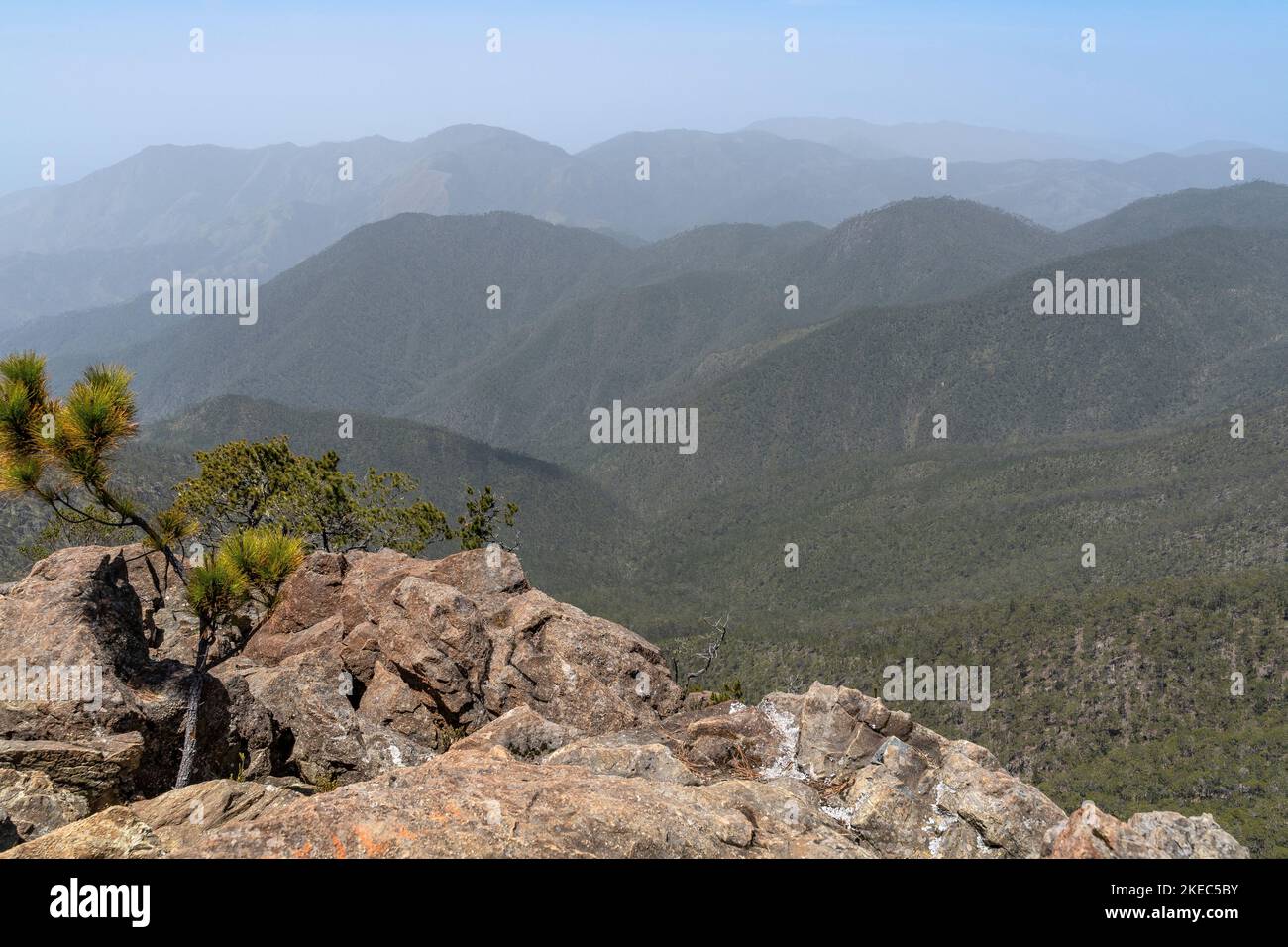 North America, Caribbean, Greater Antilles, Hispaniola Island